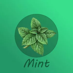 Mint-Pack