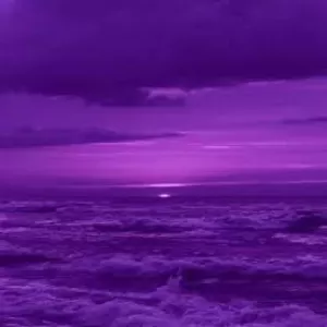 purple for all