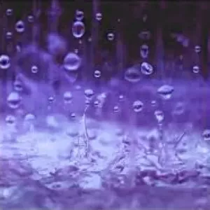 Purple Rain 64x