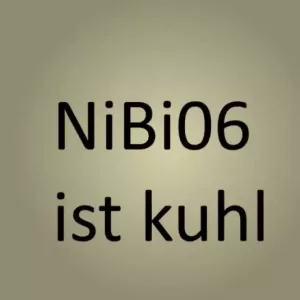 NiBI06