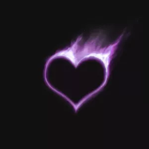2trys purpur heart