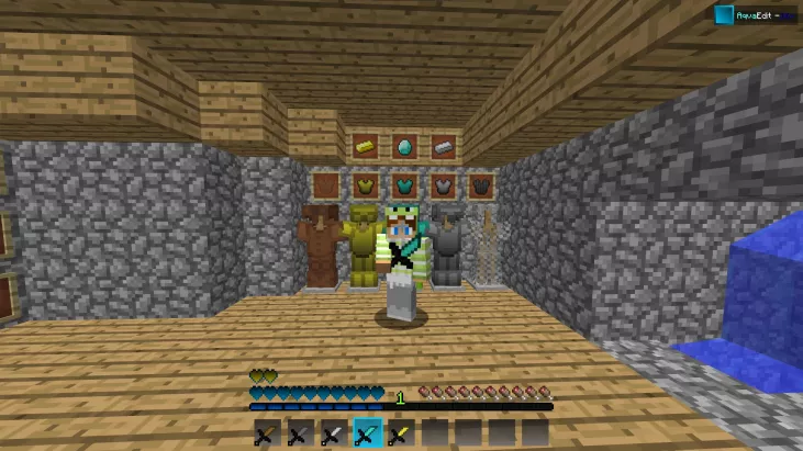 AqvaEdit - 16x