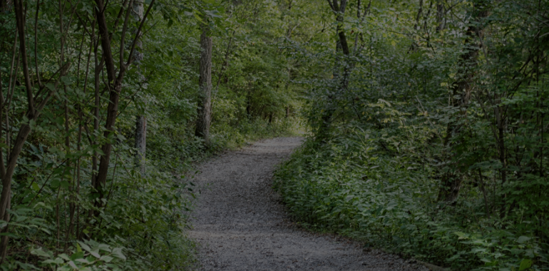 Building an Audit Trail with Eloquent Observers
