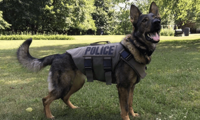 Texas deputy