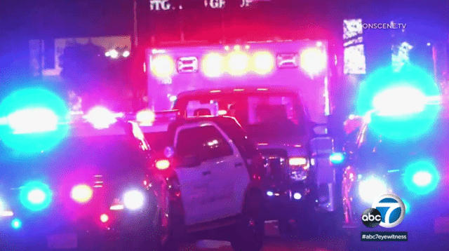 steal police unit