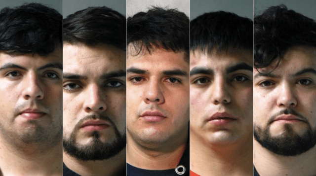 Chilean crooks