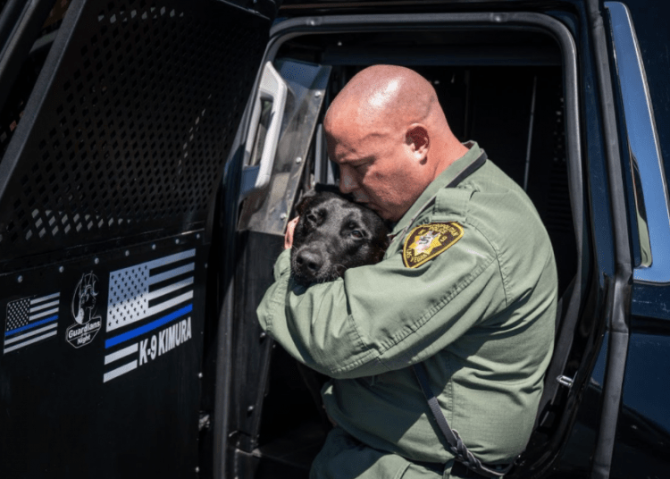 K9 Kimura