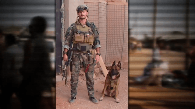 K9 Bass