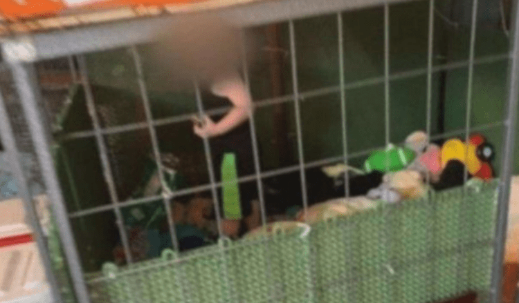 Deputies found an 18-month-old boy inside of a dog crate after being called to a Tennessee property for a report of animal abuse. (Henry County Sheriff's Office)
