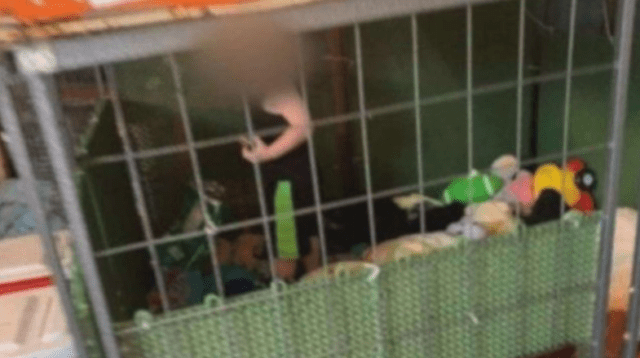 Deputies found an 18-month-old boy inside of a dog crate after being called to a Tennessee property for a report of animal abuse. (Henry County Sheriff's Office)