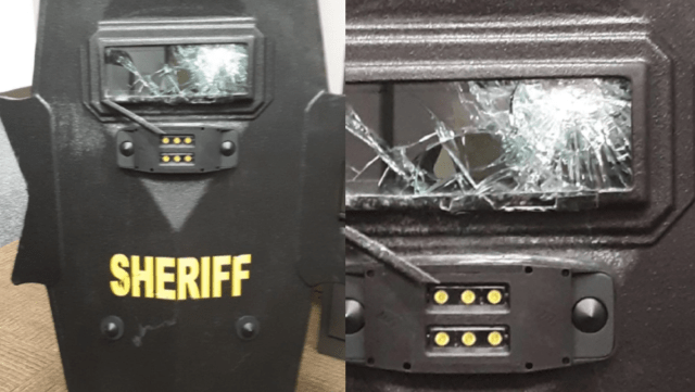 Body shield