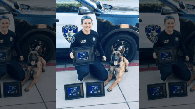 K9 Loki