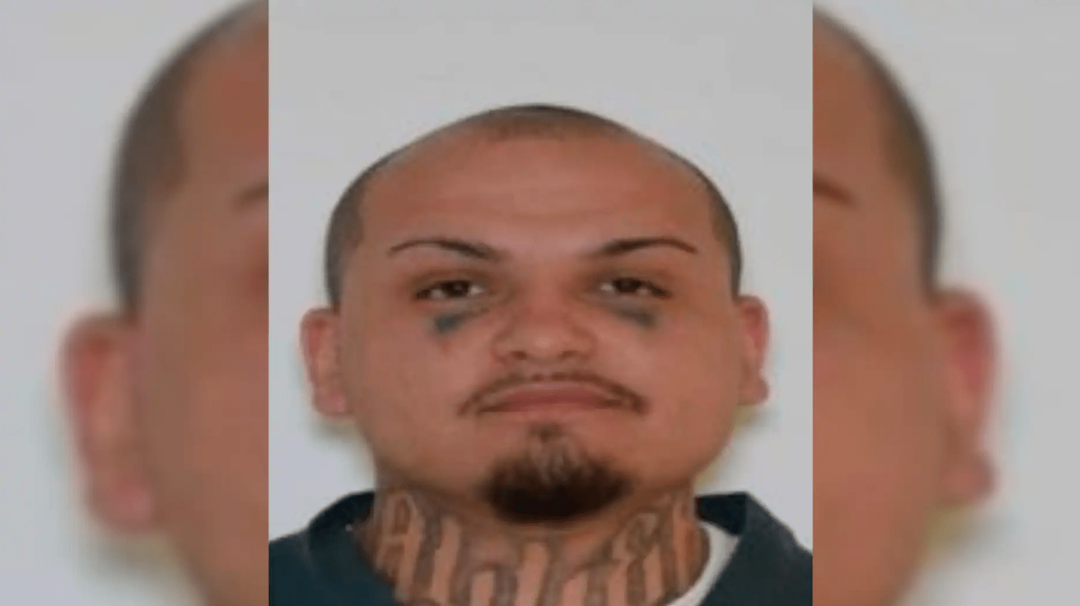 homicide warrant
