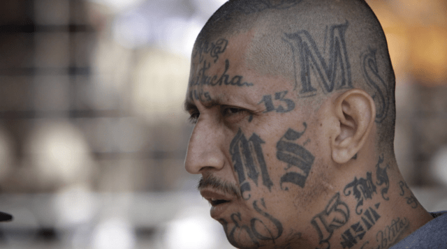ICE deported