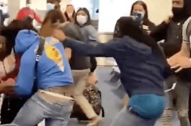 brawl