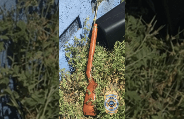 rifle