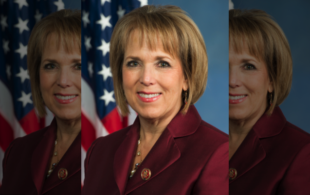 New Mexico governor