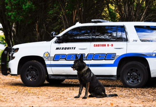 K9 Kozmo