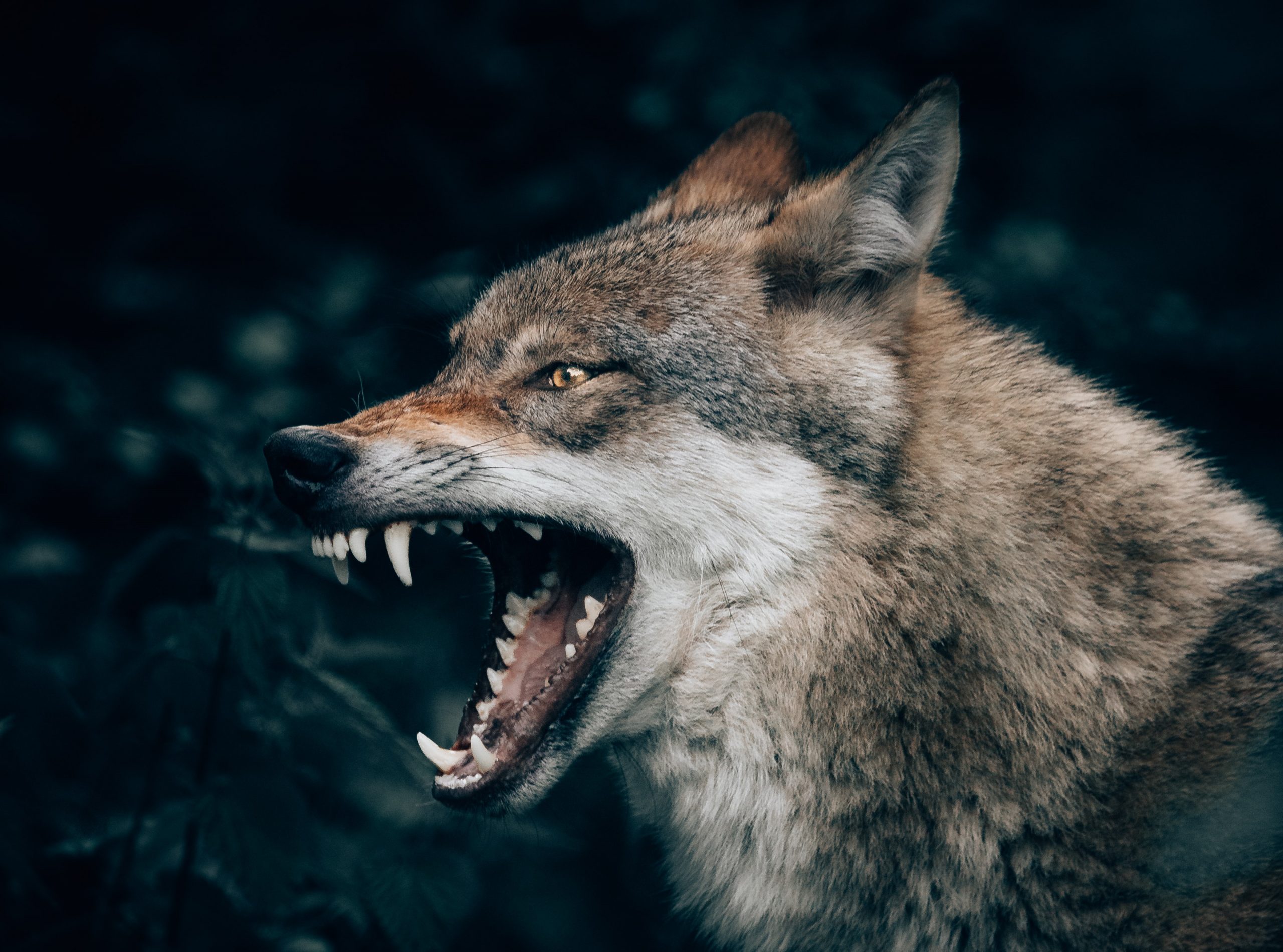 Source: Philipp Pilz
@buchstabenhausen, unsplash