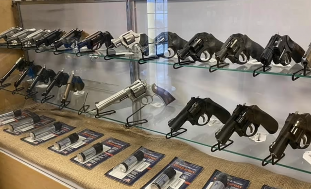 gun background checks