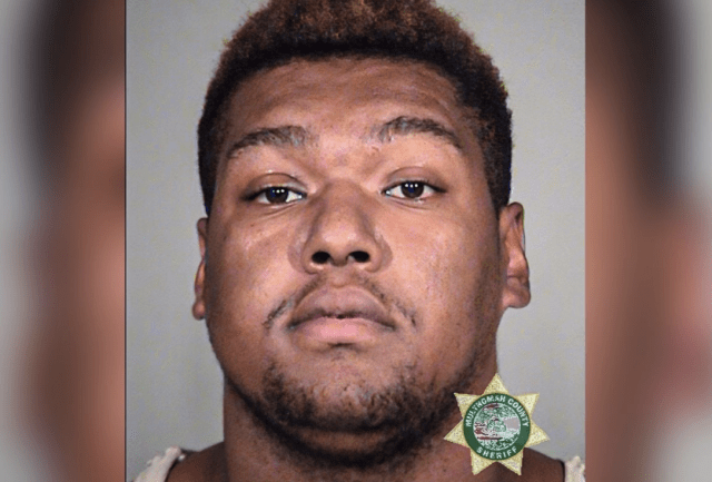 BLM rioter