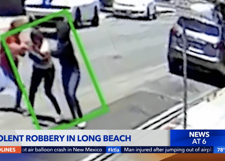 female suspects