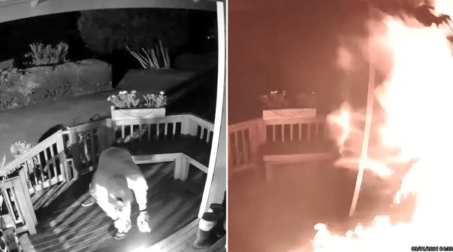 arsonist