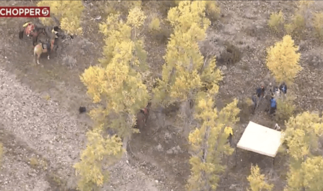 body found
