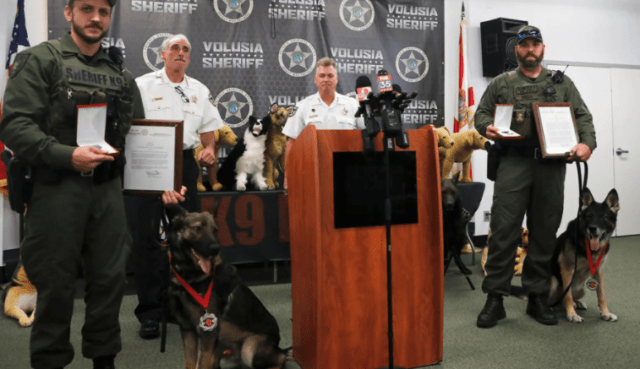 Florida K9s