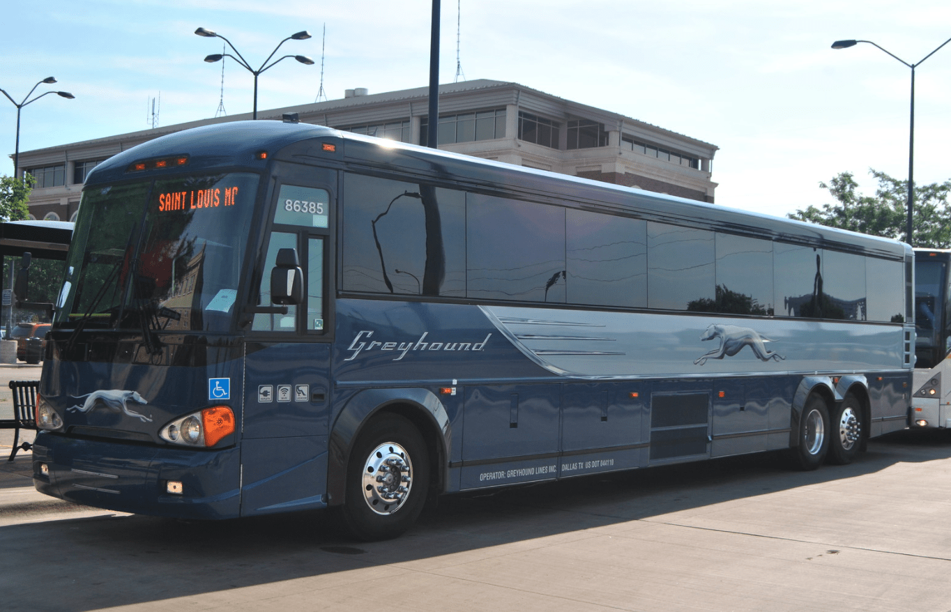 Greyhound