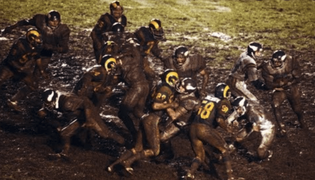 Pig Bowl