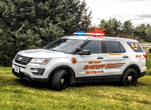 Sheriff's K9