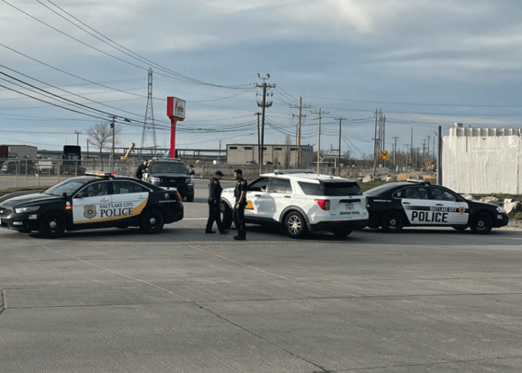 carjacking suspect