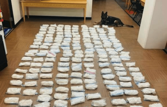 CHP narcotics detecting K9