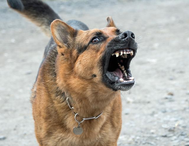 running chew