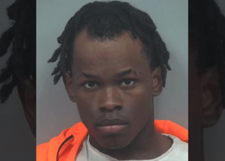 Davied Japez McCorry Whatley