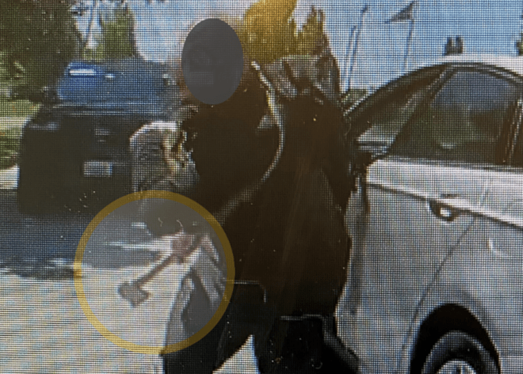 hatchet-wielding