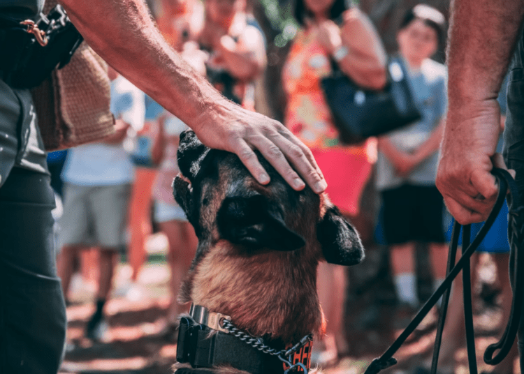 police K9