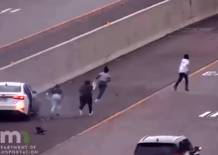 stolen vehicle
