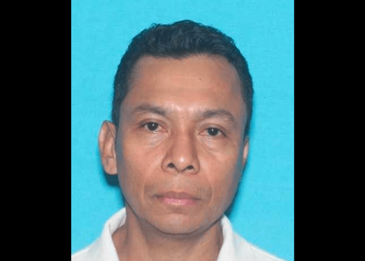 Holman Hernandez