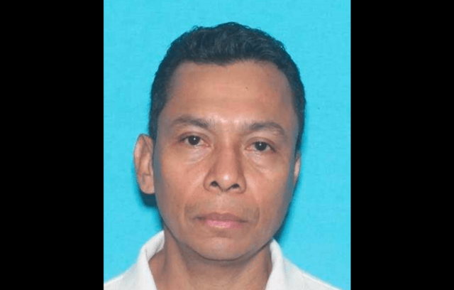 Holman Hernandez