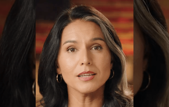Tulsi Gabbard