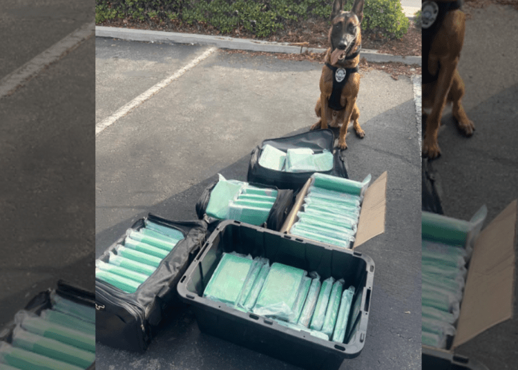California K9