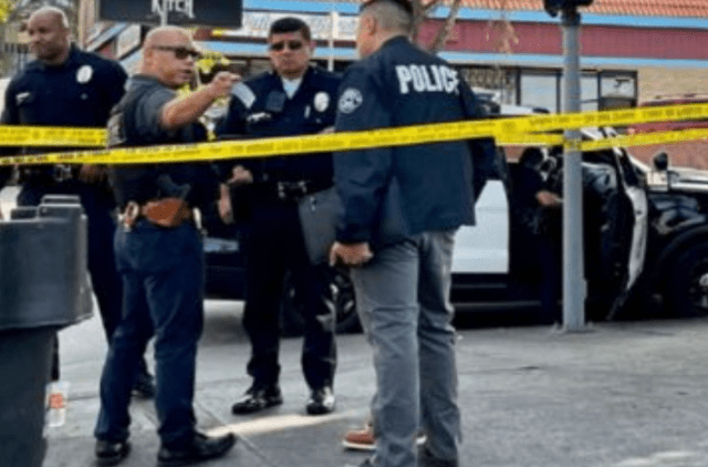 misguided police reformers