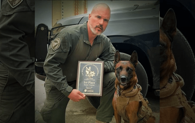 K9 Rudy