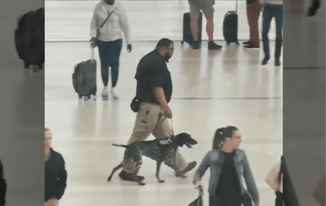 TSA K9 handler