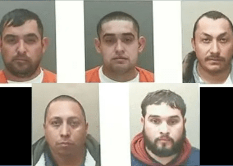 5 suspects arrested