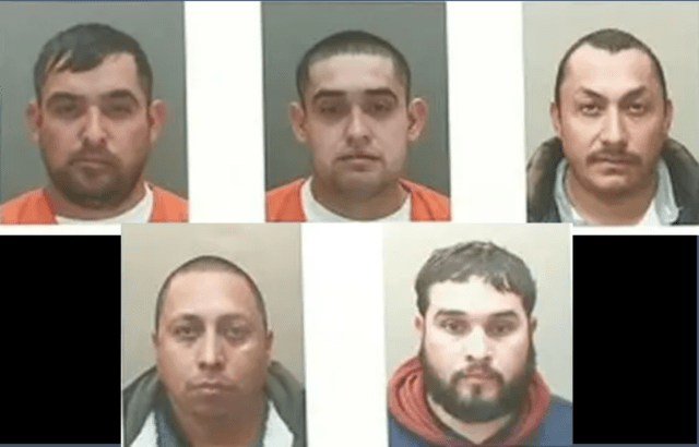 5 suspects arrested
