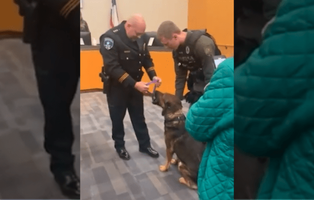 K9 Jack