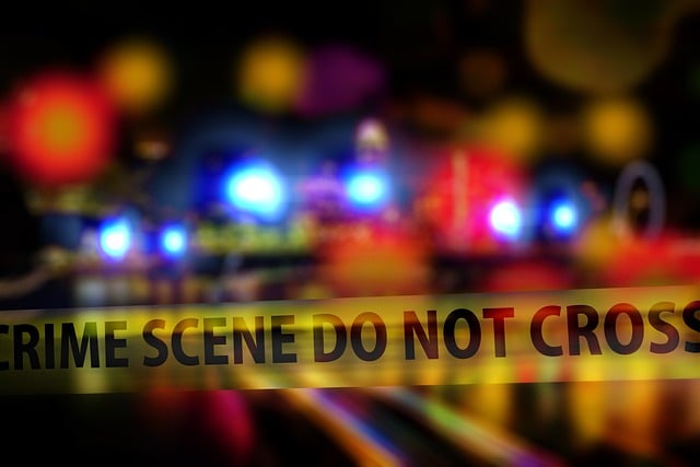 toddler pulls loaded gun